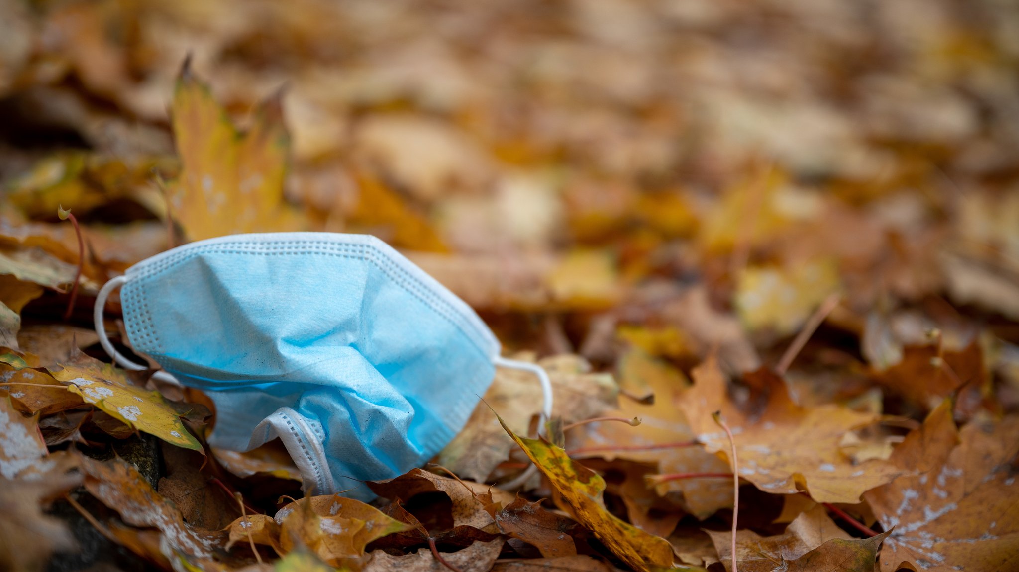 Maske im Herbstlaub (Symbolbild)