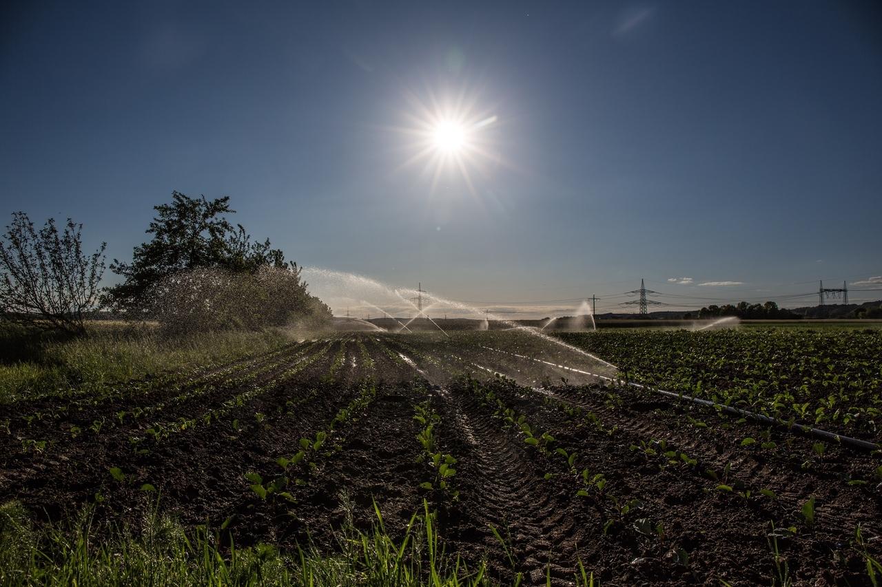 Zweiter Teil des sechsten Berichts des Weltklimarats IPCC: Nicht alle Regionen Europas sind laut Weltklimabericht auf gleiche Art und Weise vom Klimawandel betroffen - doch auch Bayern wird sich anpassen müssen. 