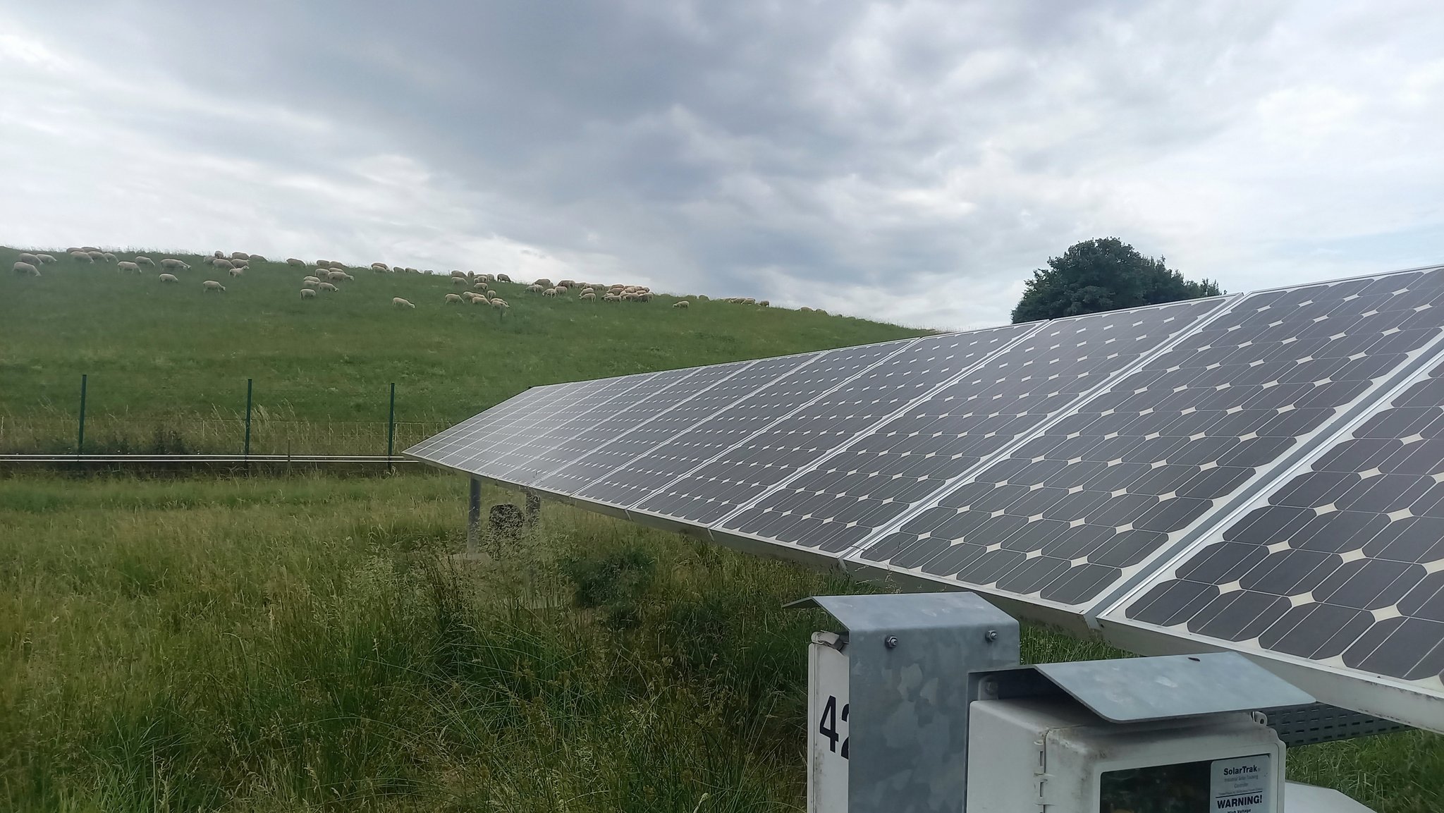 Der Solarpark in Mühlhausen. Schafe können zwischen den Modulen grasen. | Bild: BR/Annika Exner Der Solarpark in Mühlhausen. Schafe können zwischen den Modulen grasen.
