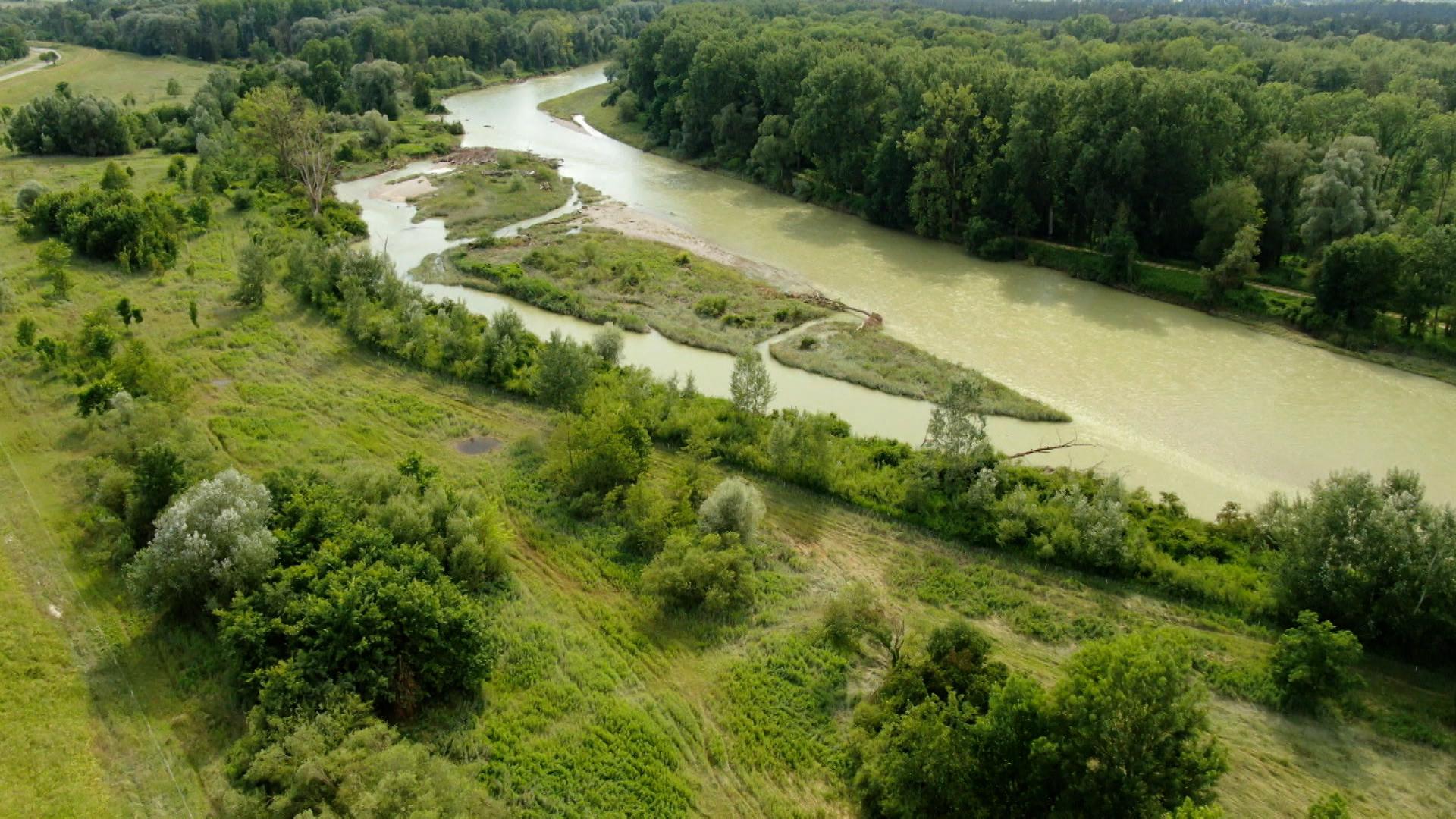 Die EU-Staaten haben den Weg für ein umkämpftes Naturschutzgesetz freigemacht.