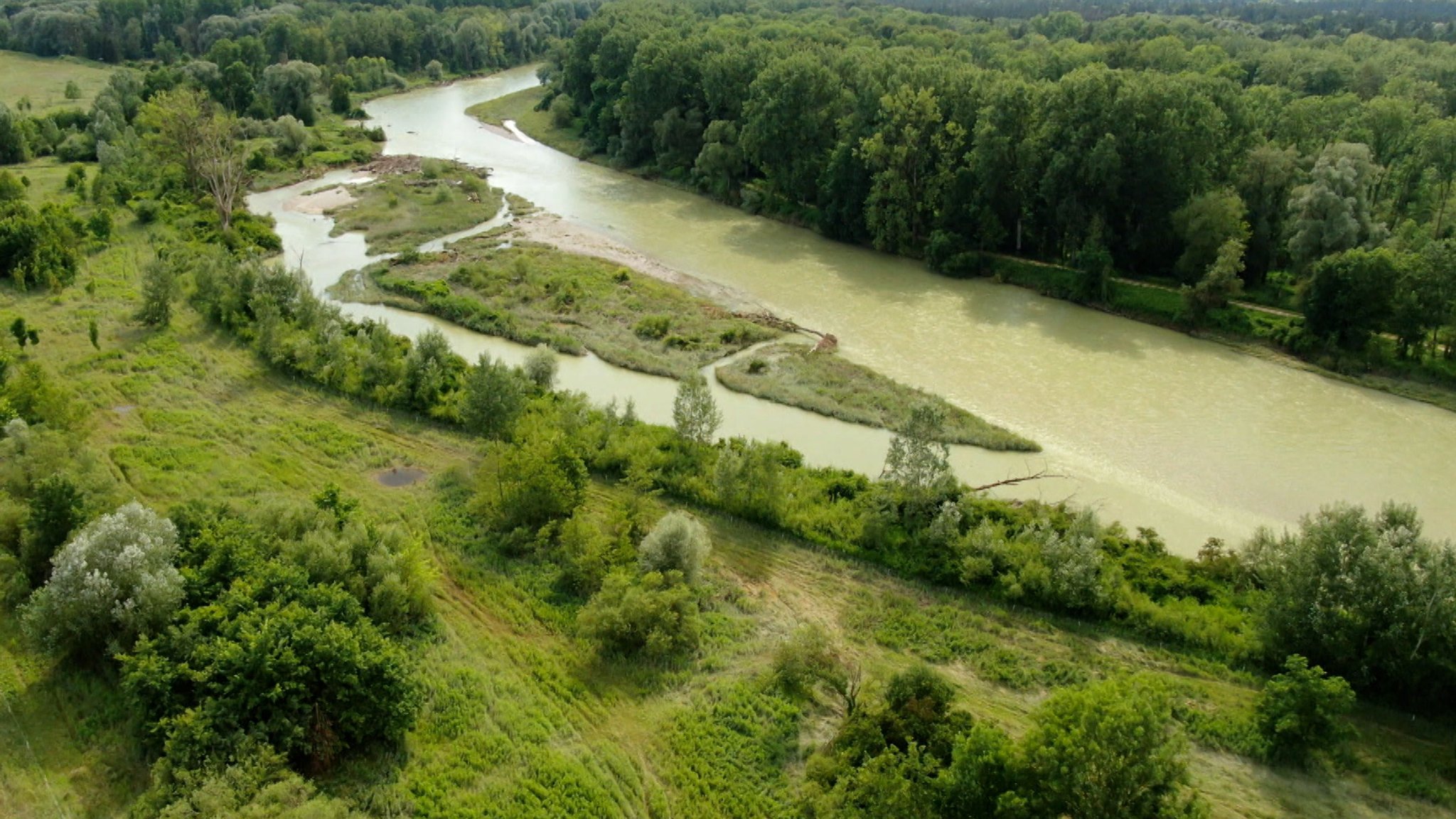 Die EU-Staaten haben den Weg für ein umkämpftes Naturschutzgesetz freigemacht.