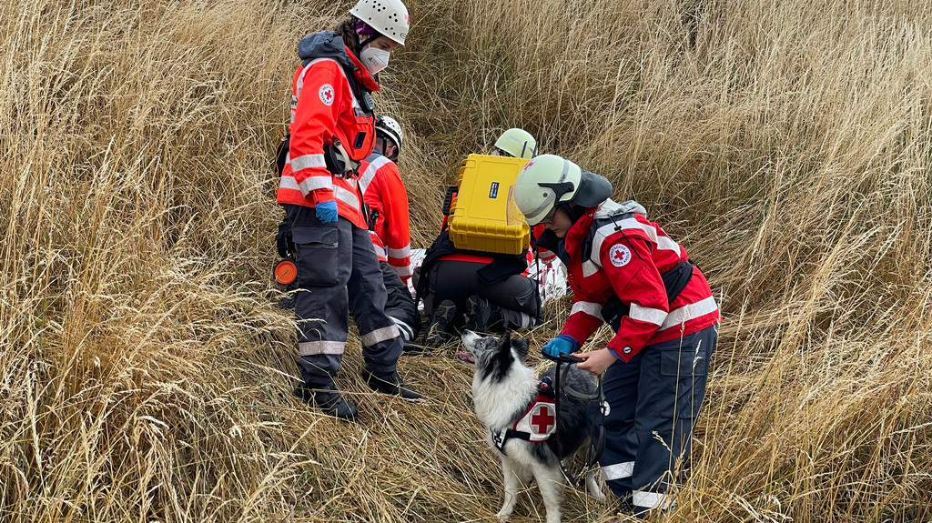 Rettungshund Hailey von der BRK Rettungshundestaffel und ihr Team helfen bei der Vermisstensuche.