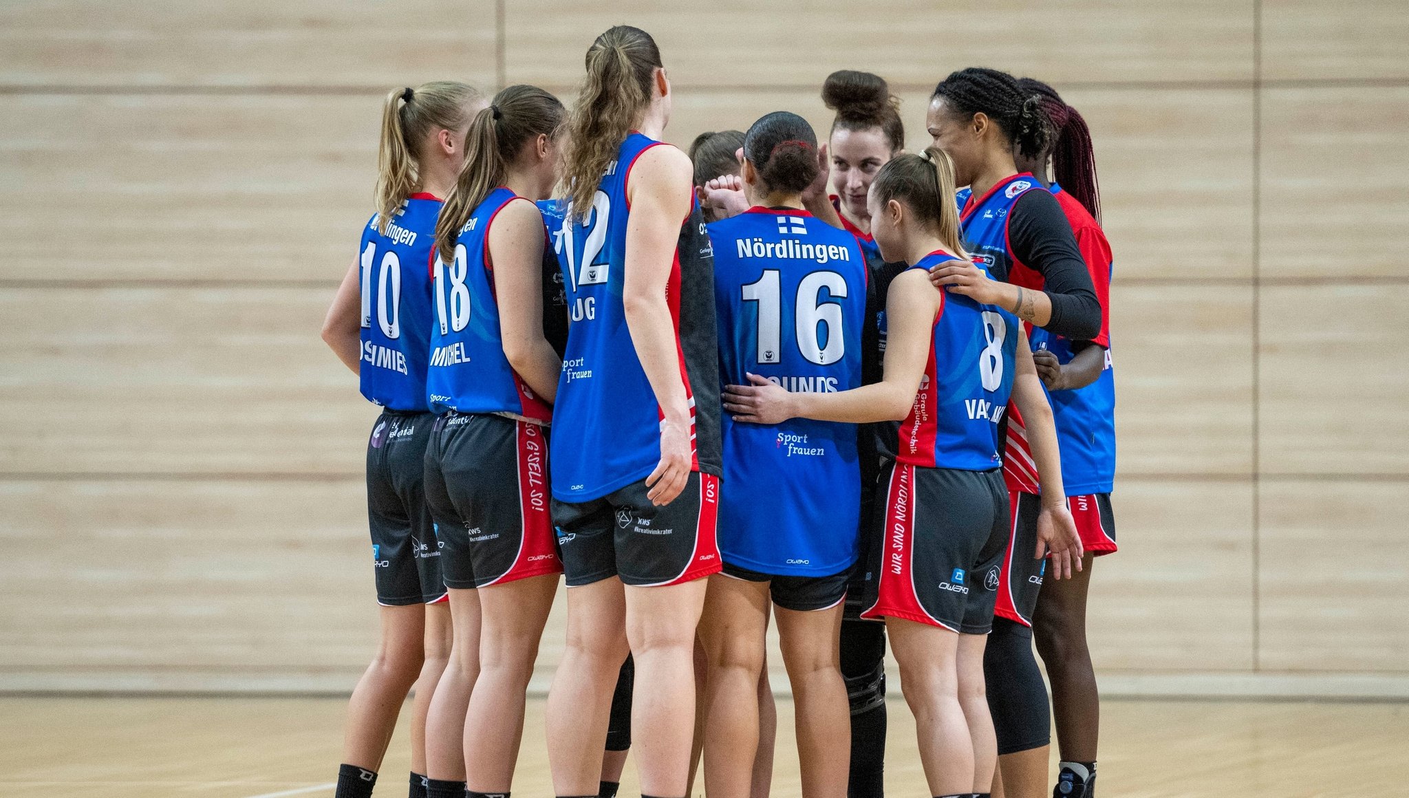 Rückzug abgewendet? Nördlingen plant weiter Erstliga-Basketball