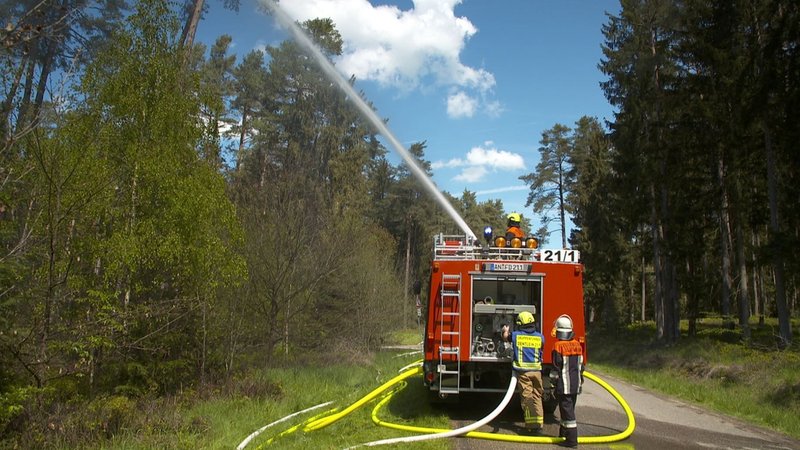 Ein Feuerwehrmann spritzt von einem Einsatzfahrzeug aus Wasser in einen Wald