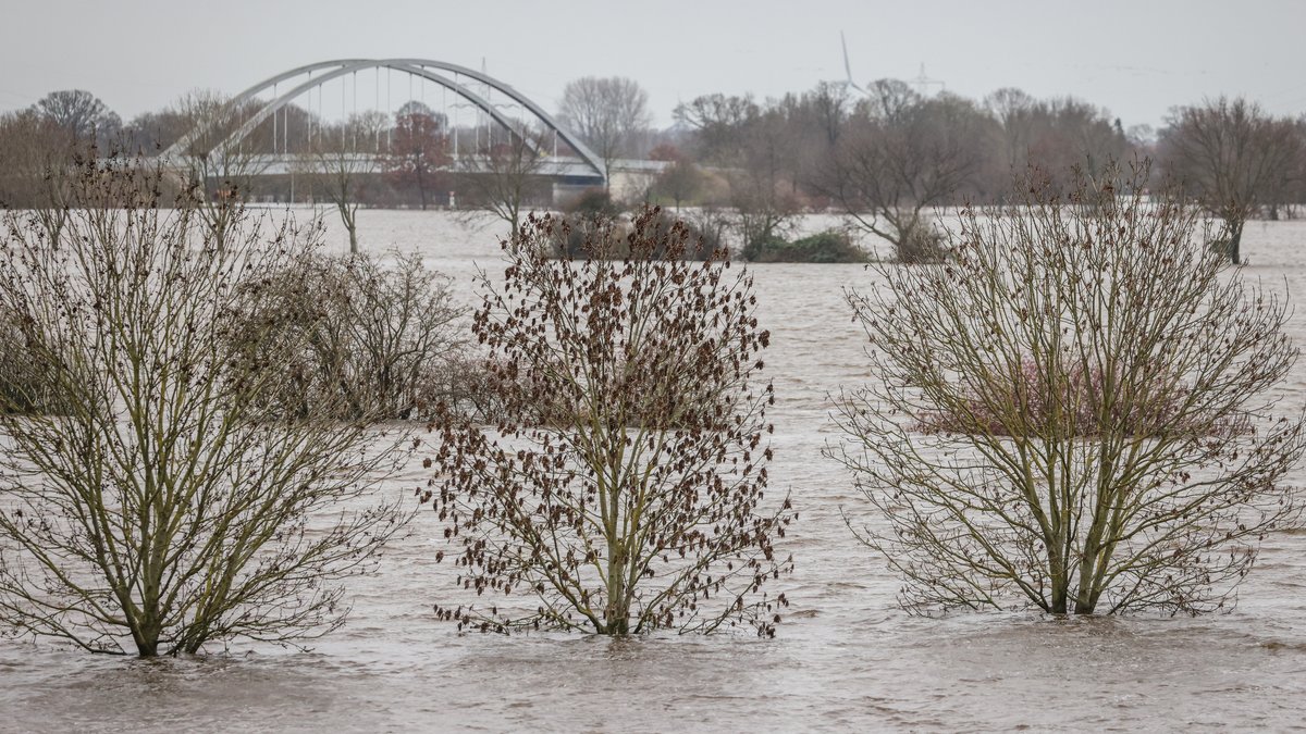 Niedersachsen, Achim: Bäume ragen aus dem Hochwasser der Weser