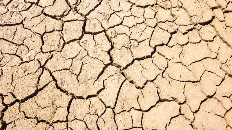 (Symbolbild) Trockener Boden des Forggensees im Mai 2024 | Bild: picture alliance / SZ Photo | Wolfgang Filser (Symbolbild) Trockener Boden des Forggensees im Mai 2024