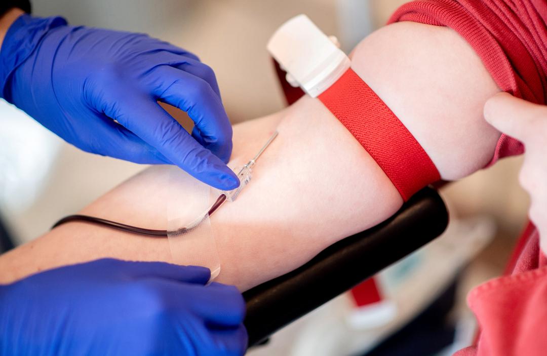 Eine Mitarbeiterin vom Blutspendedienst des Deutschen Roten Kreuzes (DRK) fixiert während einer Blutspende die Nadel .