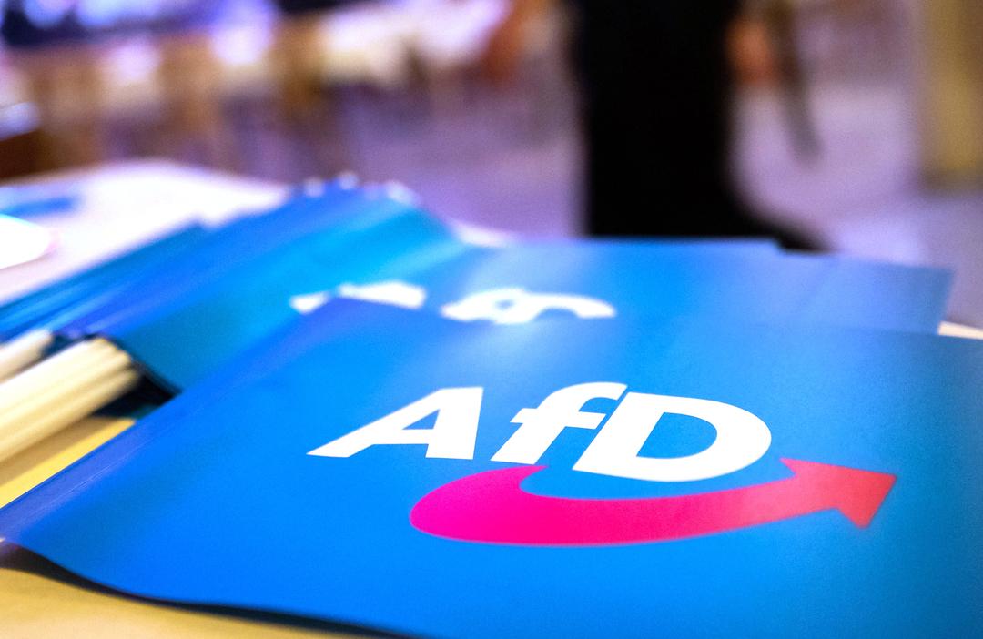 Fahne mit AfD-Logo (Archiv)