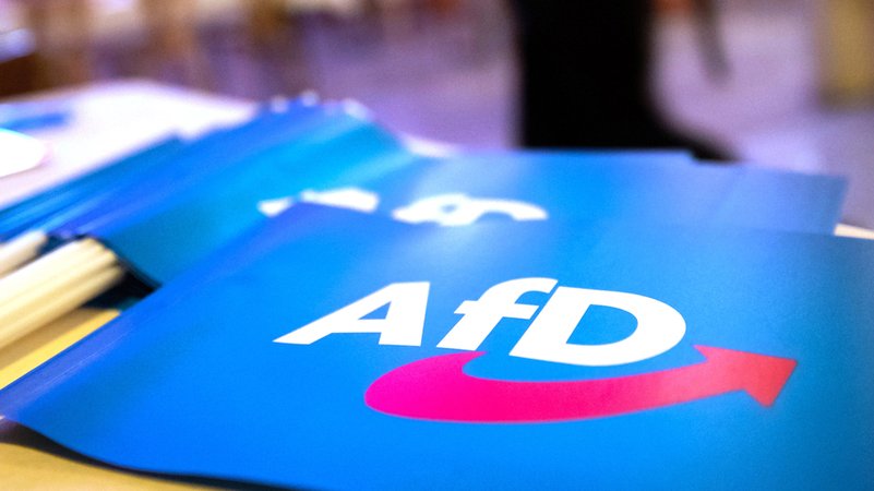 Fahne mit AfD-Logo (Archiv)
