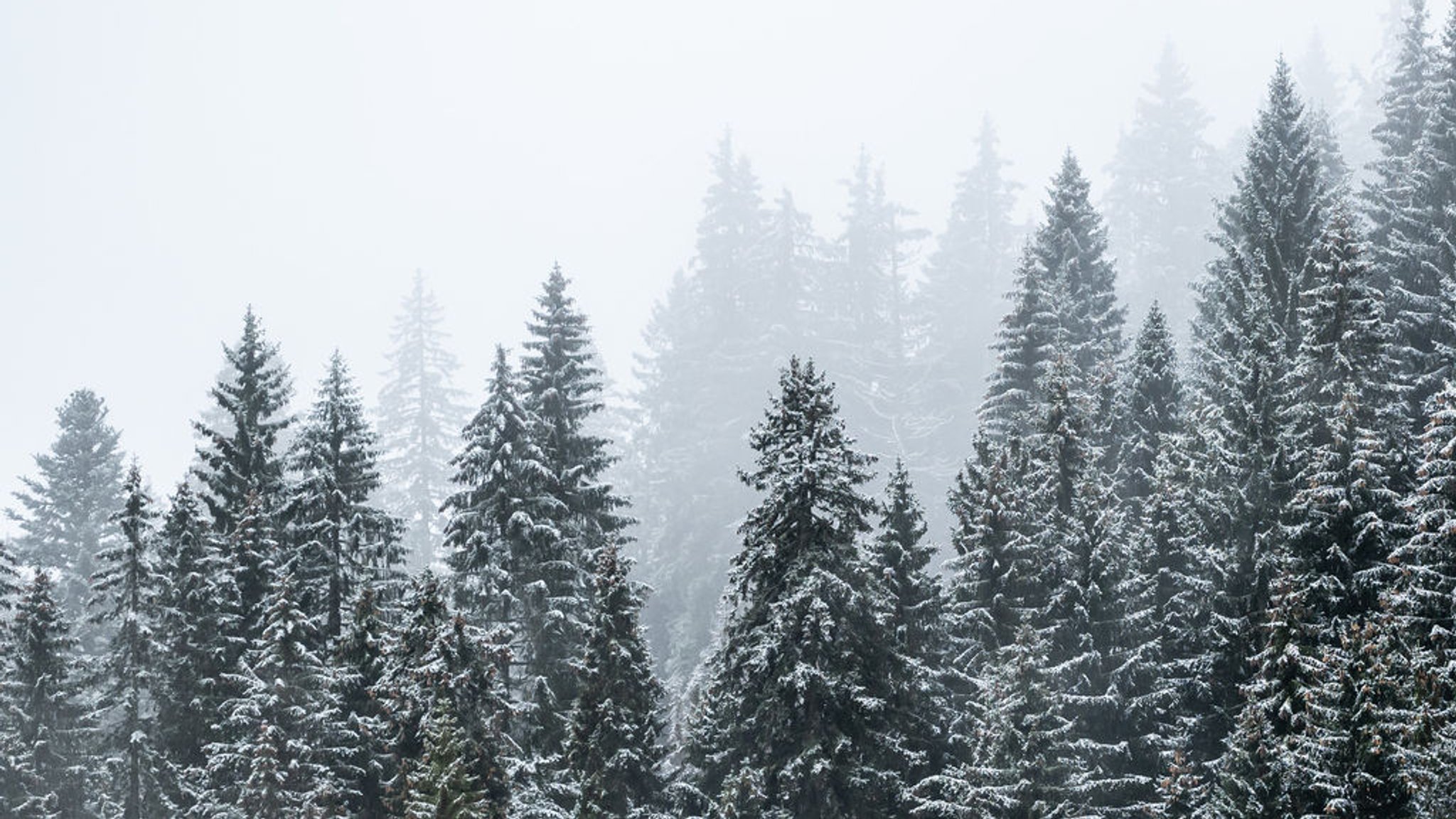 Wetteraussichten: Kurze Schnee-Stippvisite am Wochenende? 