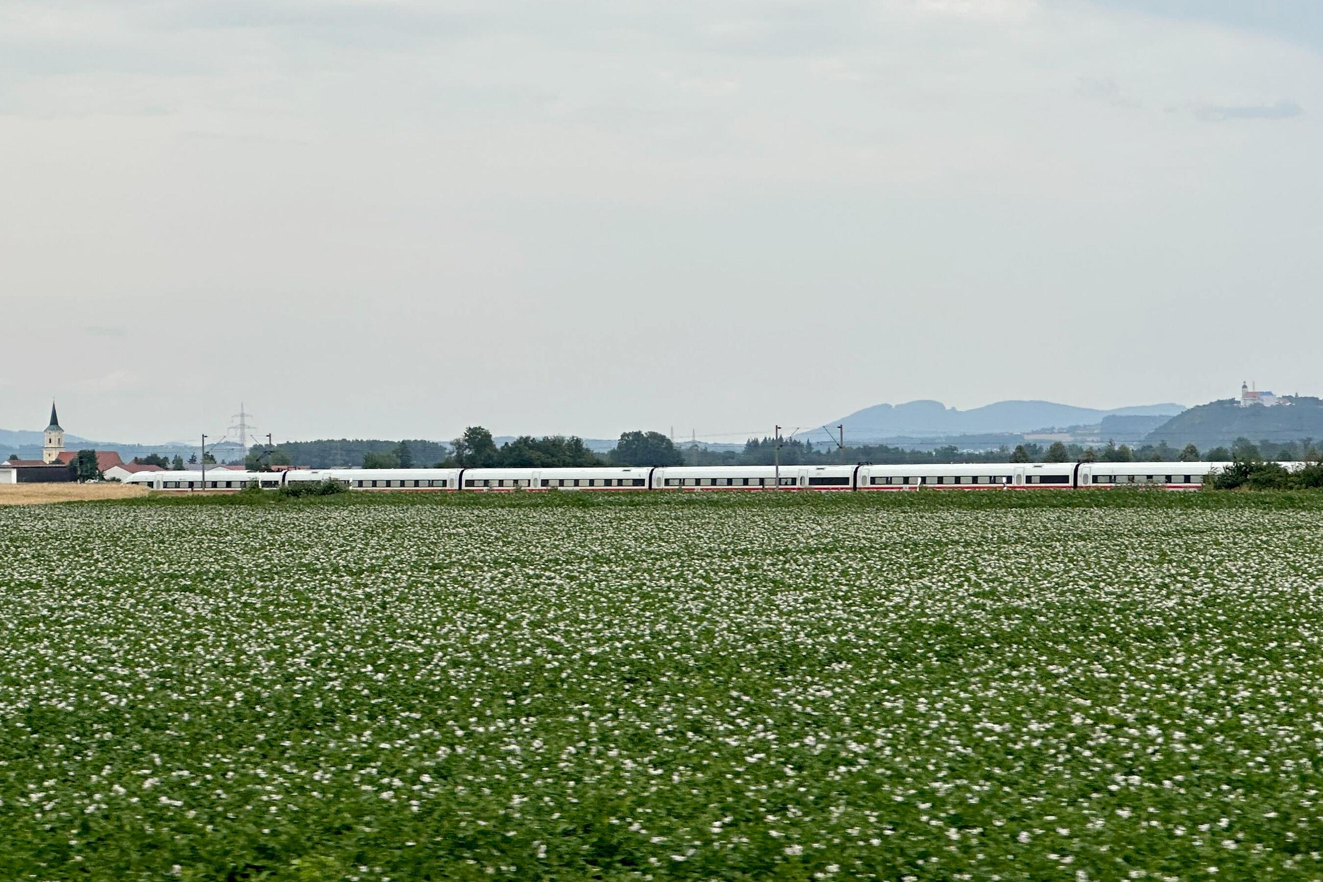 Blick auf den ganzen ICE, der bei Straßkirchen eine Notbremsung einlegen musste