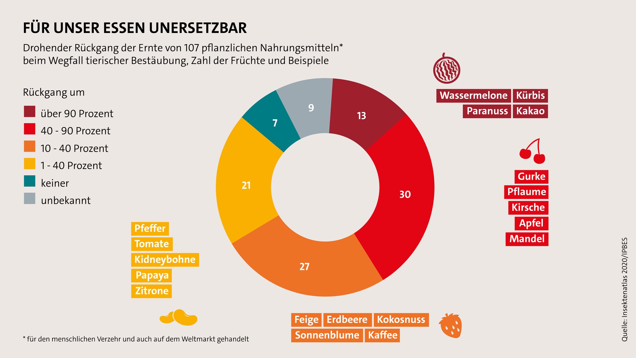 Insektenatlas 2020 von BUND und Heinrich-Böll-Stiftung: Ungefähr ein Achtel der wichtigsten pflanzlichen Agrargüter hängt von Bestäubern ab.