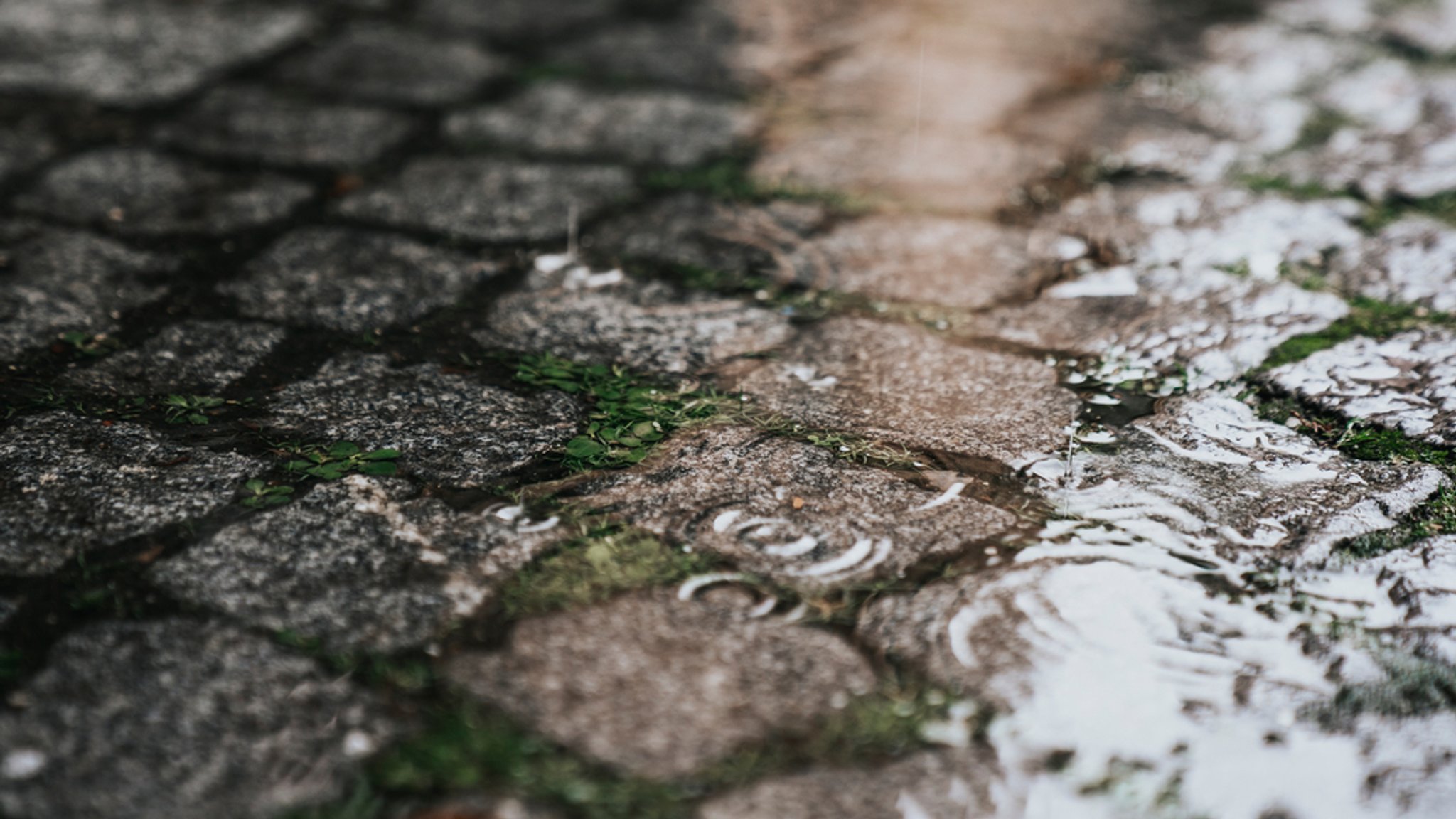 Regentropfen fallen in eine Regenpfütze auf Kopfsteinpflaster.