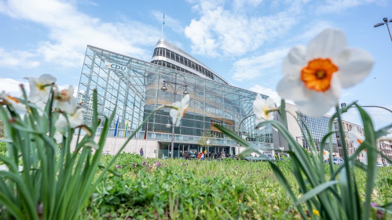 Blumen blühen vor der CDU-Zentrale während der Fortsetzung der Koalitionsverhandlungen von Union und SPD im Konrad-Adenauer-Haus. | Bild: picture alliance/dpa | Michael Kappeler Blumen blühen vor der CDU-Zentrale während der Fortsetzung der Koalitionsverhandlungen von Union und SPD im Konrad-Adenauer-Haus.