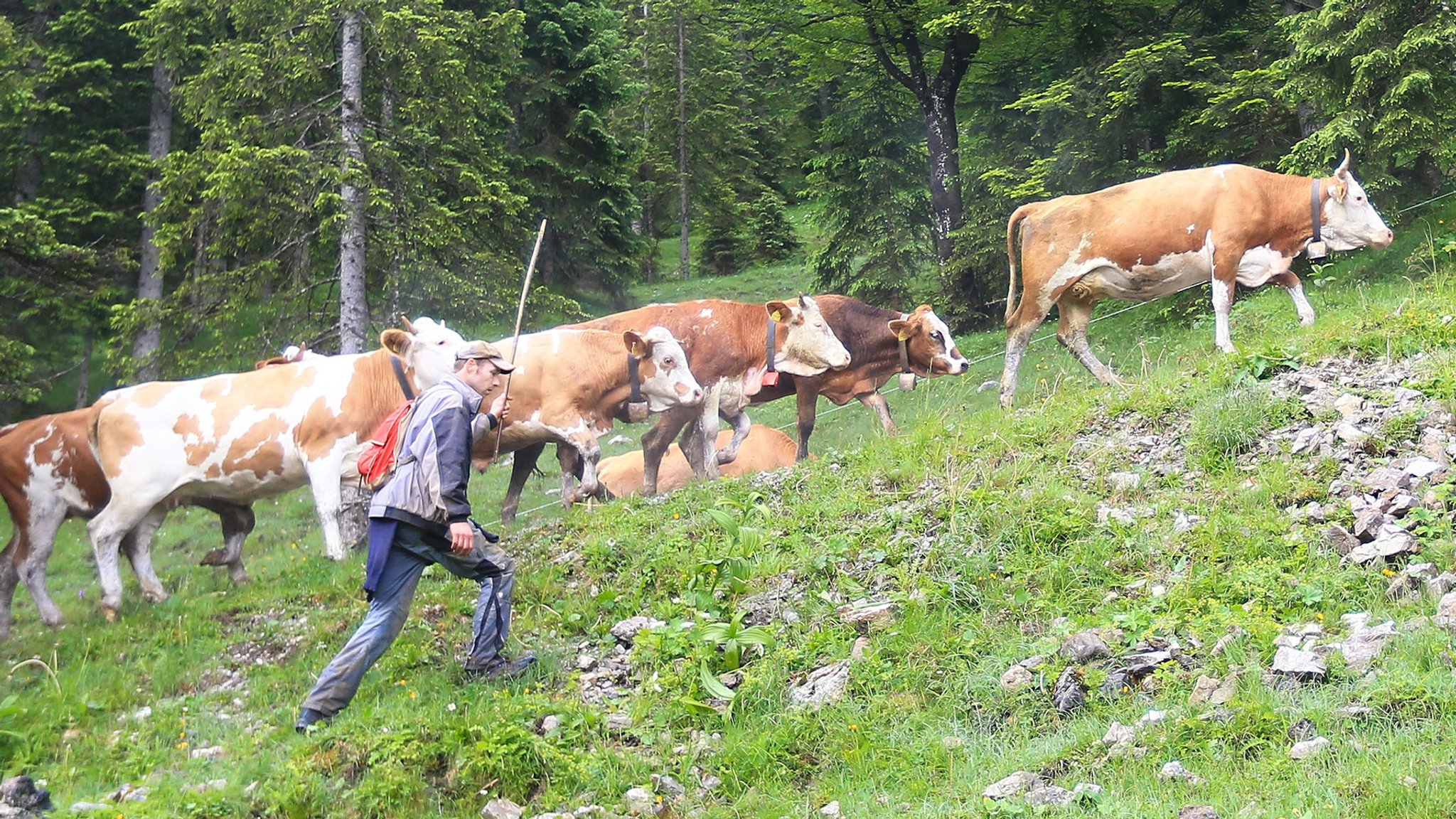 Zum Alpengipfel haben sich Vertreter aus Bayern, Österreich, Südtirol und der Schweiz im Bergbauernmuseum in der Wildschönau in Tirol getroffen. 