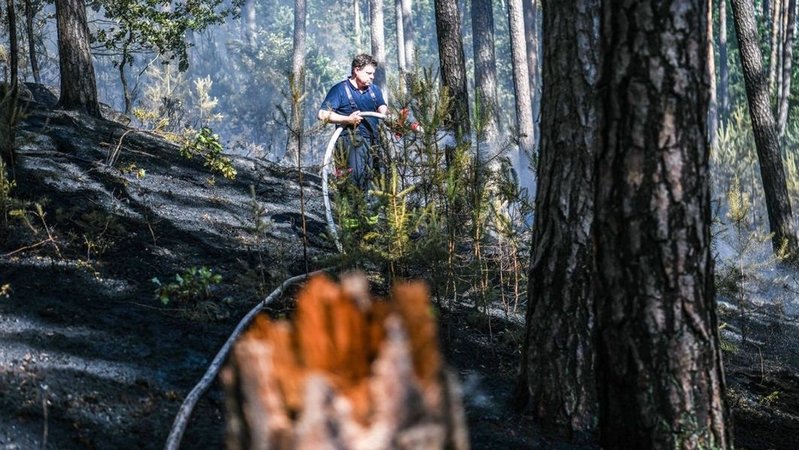 Ein Feuerwehrmann steht mit Feuerwehrschlauch in einem Wald auf verbranntem Boden und löscht ein Feuer. | Bild: dpa-Bildfunk/Jason Tschepljakow Ein Feuerwehrmann steht mit Feuerwehrschlauch in einem Wald auf verbranntem Boden und löscht ein Feuer.