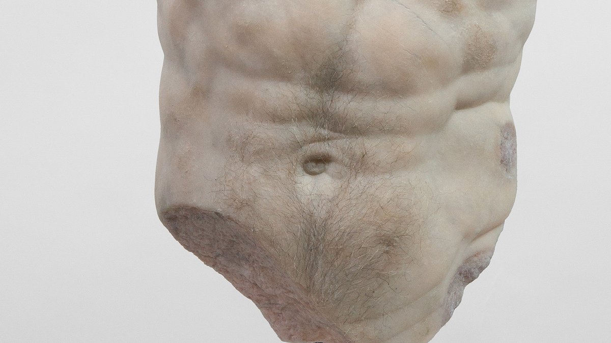 Männertorso mit Brusthaar