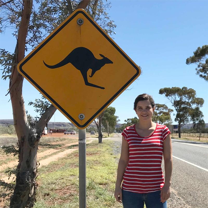 Anna Und Die Wilden Tiere Koala Zu Besuch bei Koalas, Wombats und Kängurus in Australien - Anna und die