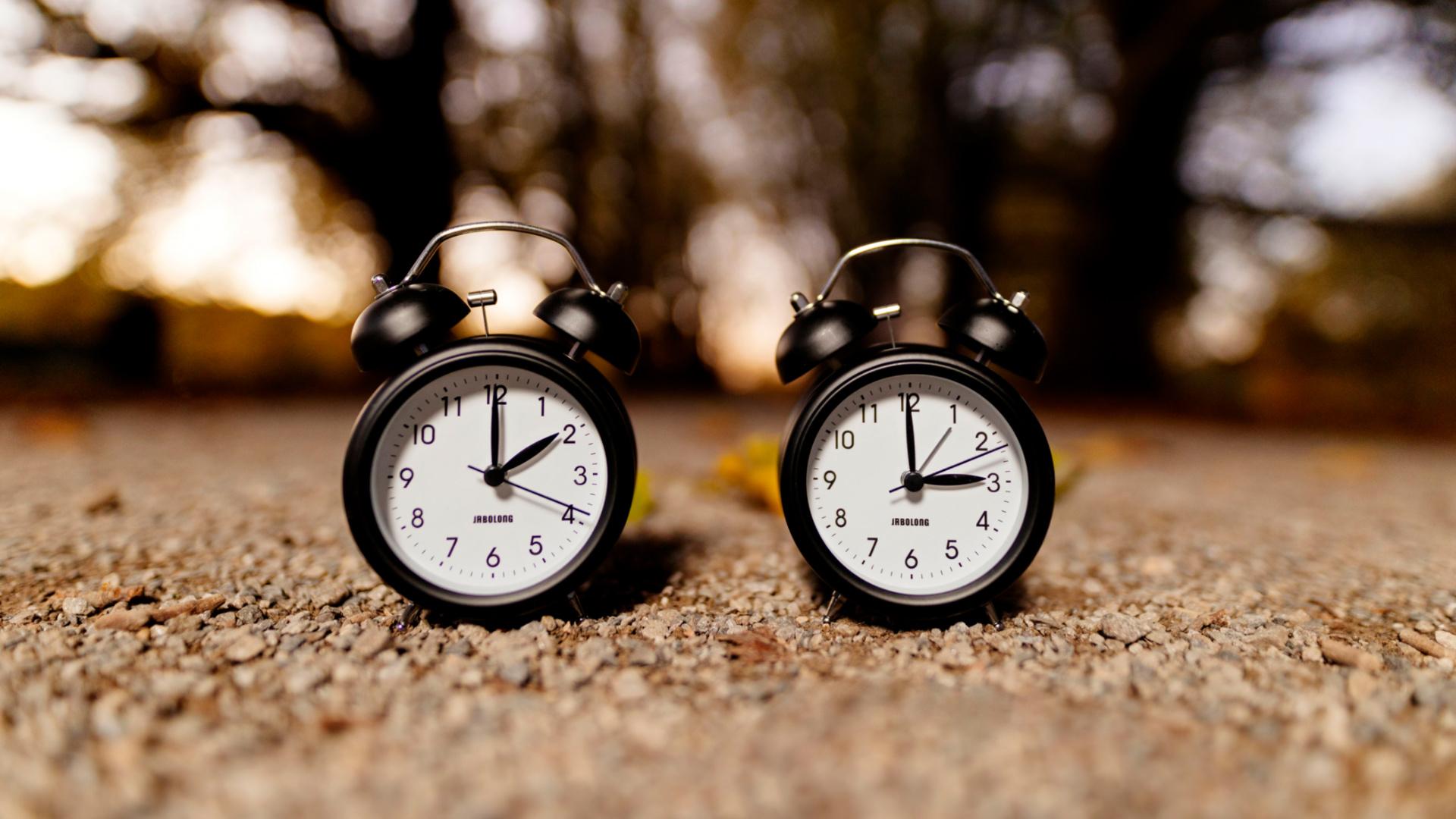 Zwei Wecker im Wald symbolisieren die Umstellung von Winterzeit zu Sommerzeit. Zwei Mal im Jahr, im März und im Oktober, wird die Zeit umgestellt. Hat die Umstellung gesundheitliche Folgen? Wir geben euch Tipps, wie ihr euch am besten an den neuen Rhythmus gewöhnt. 