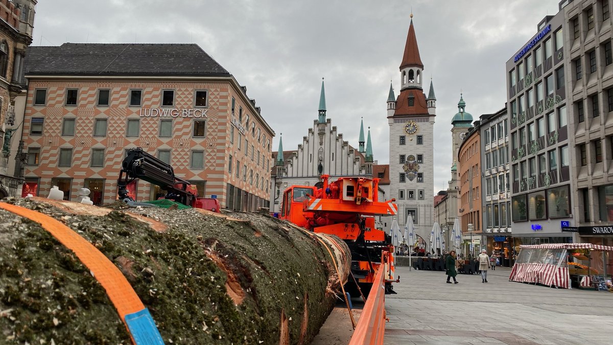 Der Christbaum auf dem Münchner Marienplatz ist jetzt weg - die Feuerwehr hat den 25 Meter langen Stamm der Weißtanne abgeholt