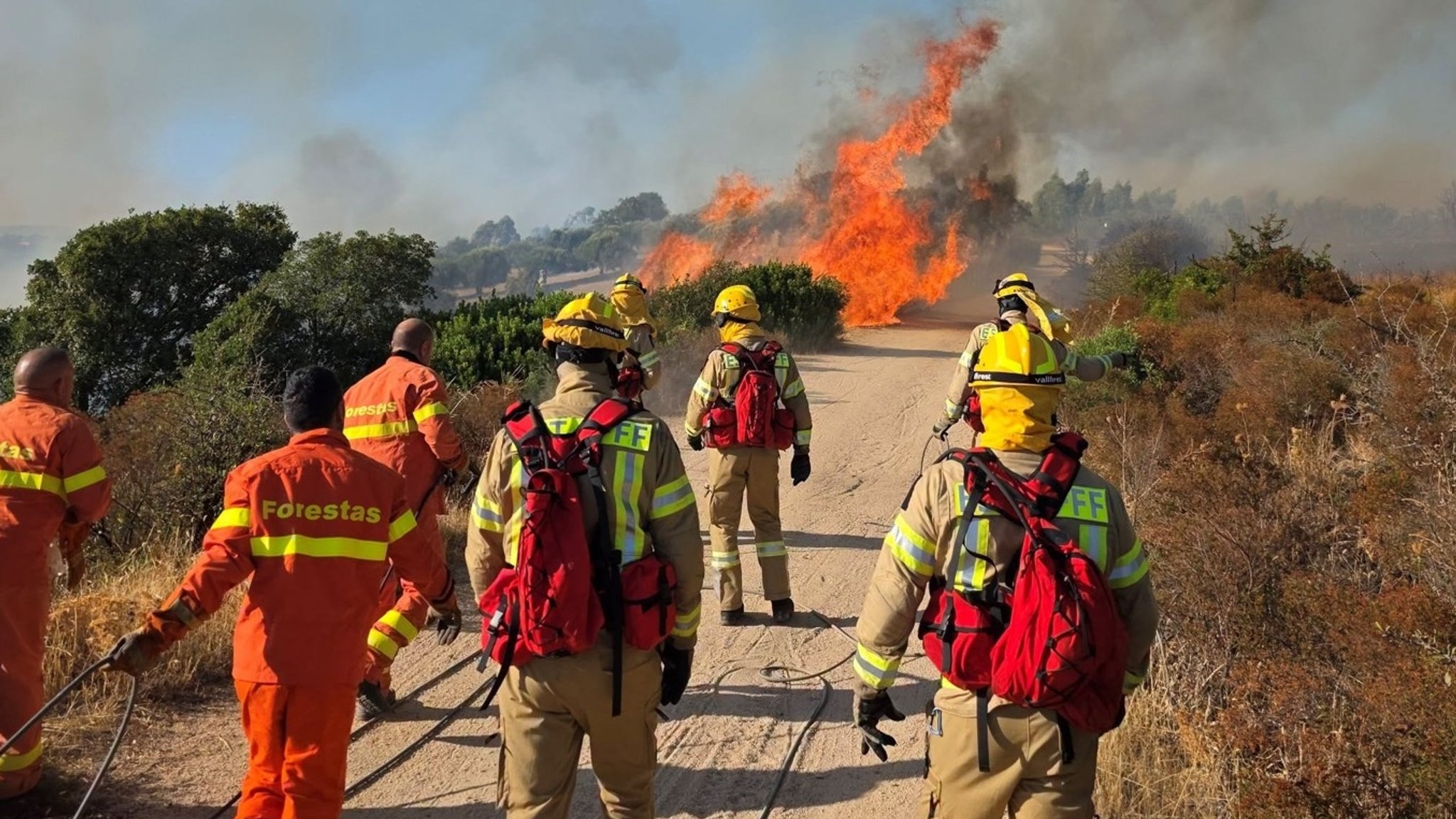Estnische Feuerwehrleute auf Sardinien (Italien) im August 2026. | Bild: Estonian Rescue Service Estnische Feuerwehrleute auf Sardinien (Italien) im August 2026.