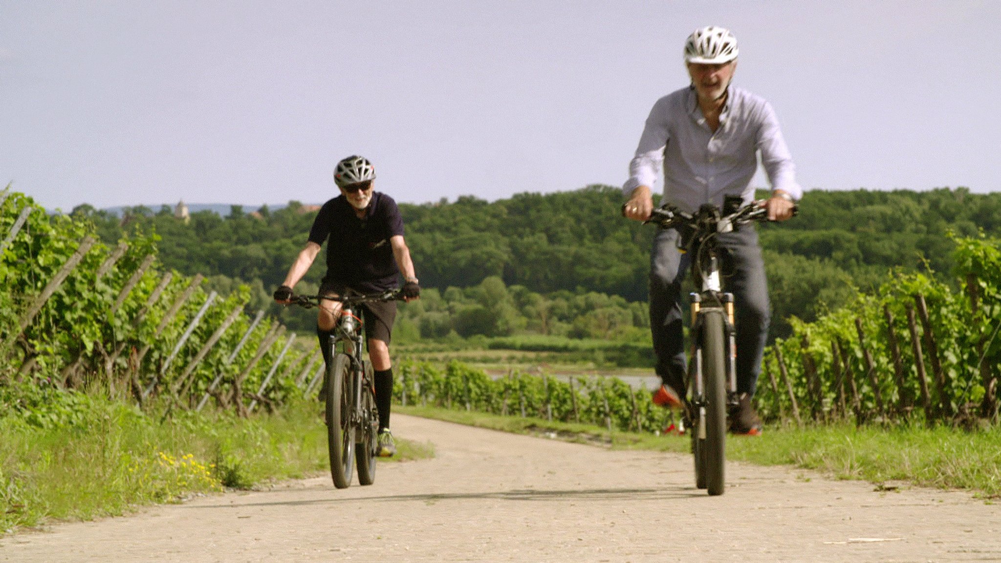 Ebike-Fahrer bei Volkach in den Weinbergen