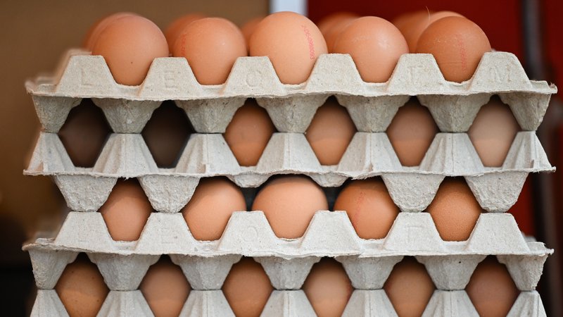 Eier im Eierkarton | Bild: picture alliance/dpa | Arne Dedert Eier im Eierkarton