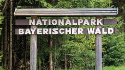 Ein Schild mit der Aufschrift "Nationalpark Bayerischer Wald" steht am Waldrand.  | Bild:dpa-Bildfunk/Armin Weigel