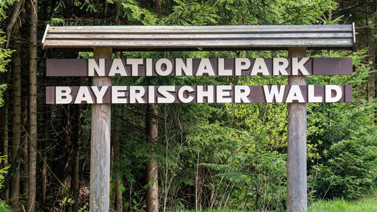 Nationalpark Bayerischer Wald will internationales Zertifikat
