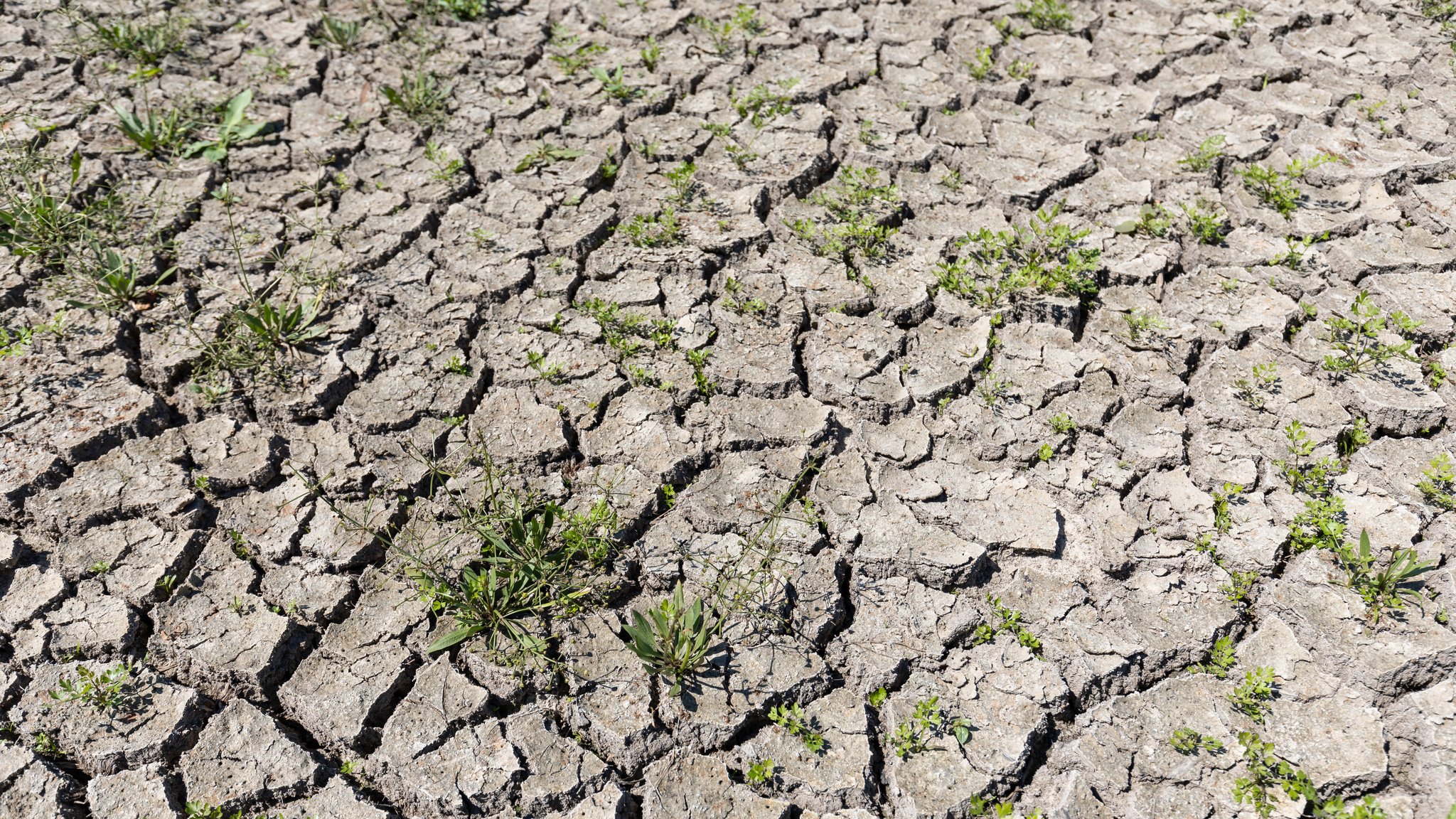 EU-Umweltagentur warnt vor sommerlichem Extremwetter in Europa