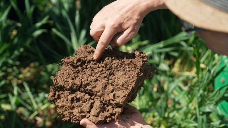 Trinkwasserschutzprojekt in der Oberpfalz | Bild: BR / Unser Land 2024 Trinkwasserschutzprojekt in der Oberpfalz