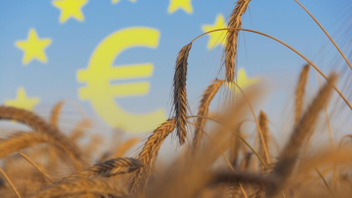Fast jeder dritte Euro aus dem mehrjährigen EU-Etat fließt in die Landwirtschaft