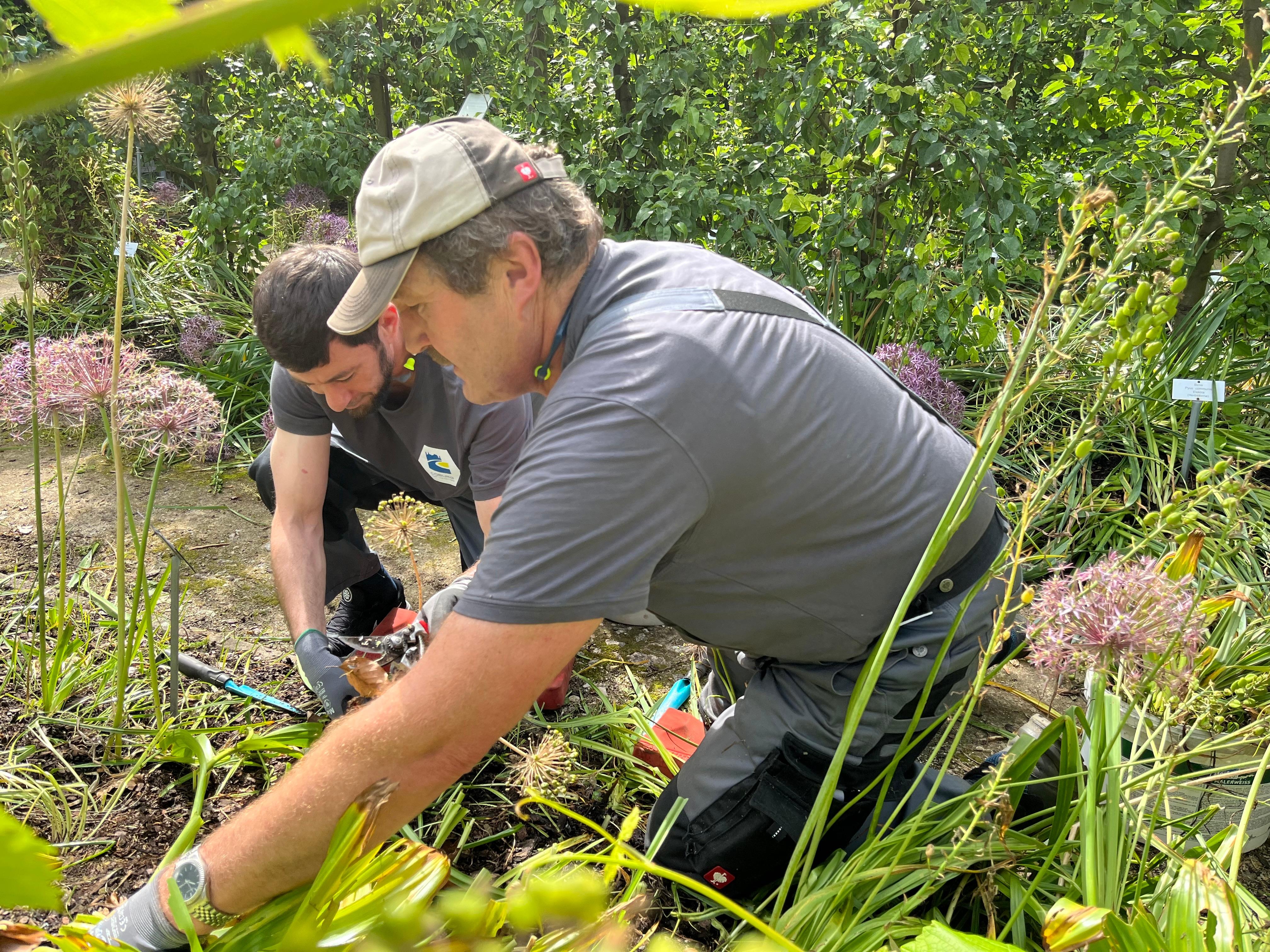 Ewald Schubert vom Landratsamt Coburg betreut den Flüchtling Nordin Iosupow (li.) im Obstlehrgarten
