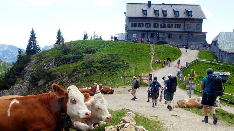 Zu sehen ist die Berghütte Rotwandhaus | Bild: dpa-Bildfunk/Angelika Warmuth