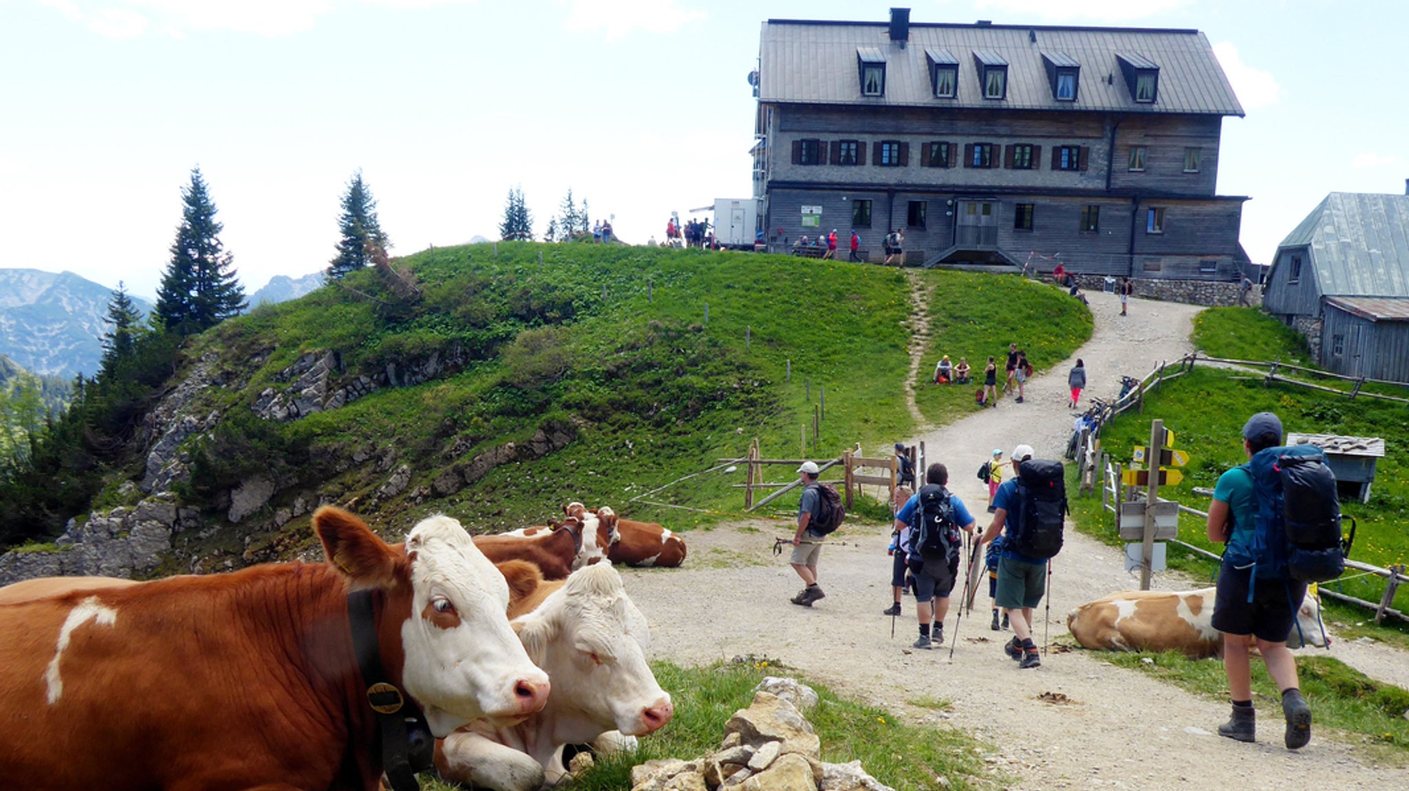 Zu sehen ist die Berghütte Rotwandhaus