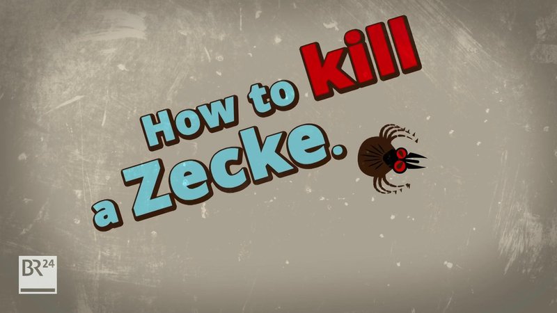 Grafik einer Zecke mit Schrift: How to kill a Zecke