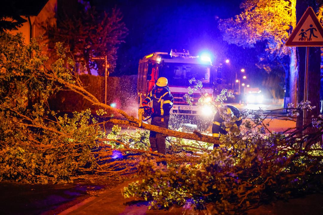 Einsatzkräfte der Feuerwehr Erlangen zersägen mit einer Kettensäge einen umgestürzten Baum.