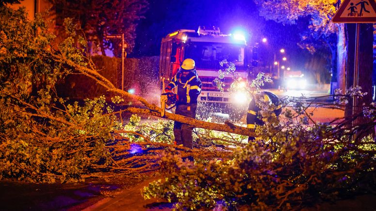 Einsatzkräfte der Feuerwehr Erlangen zersägen mit einer Kettensäge einen umgestürzten Baum. | Bild:dpa-Bildfunk