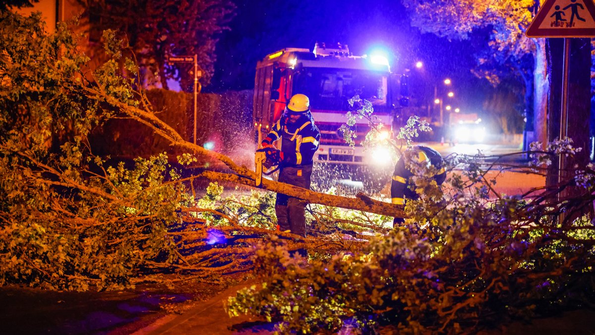 Einsatzkräfte der Feuerwehr Erlangen zersägen mit einer Kettensäge einen umgestürzten Baum.
