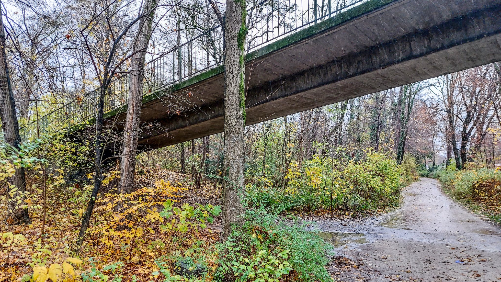 Der Tatort im Englischen Garten: die Kleinhesseloher Brücke