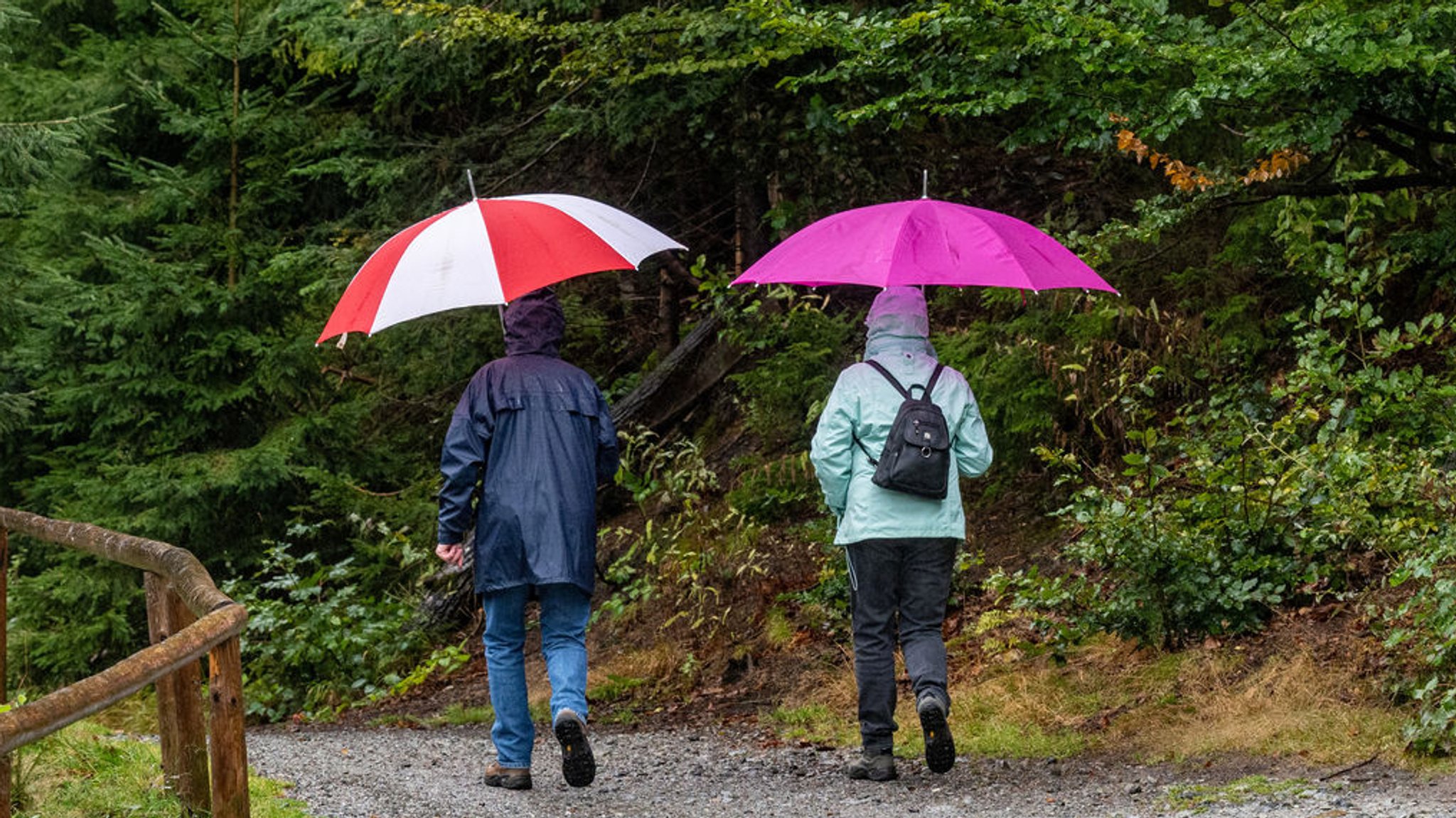 ARCHIV - 13.09.2024, Bayern, Bayerisch Eisenstein: Wanderer sind mit Regenschirmen am Ufer des Arbersees unterwegs. (Illustrationsfoto) (zu dpa: «Nach sonnigem Herbstsonntag kehrt der Regen zurück») Foto: Armin Weigel/dpa +++ dpa-Bildfunk +++