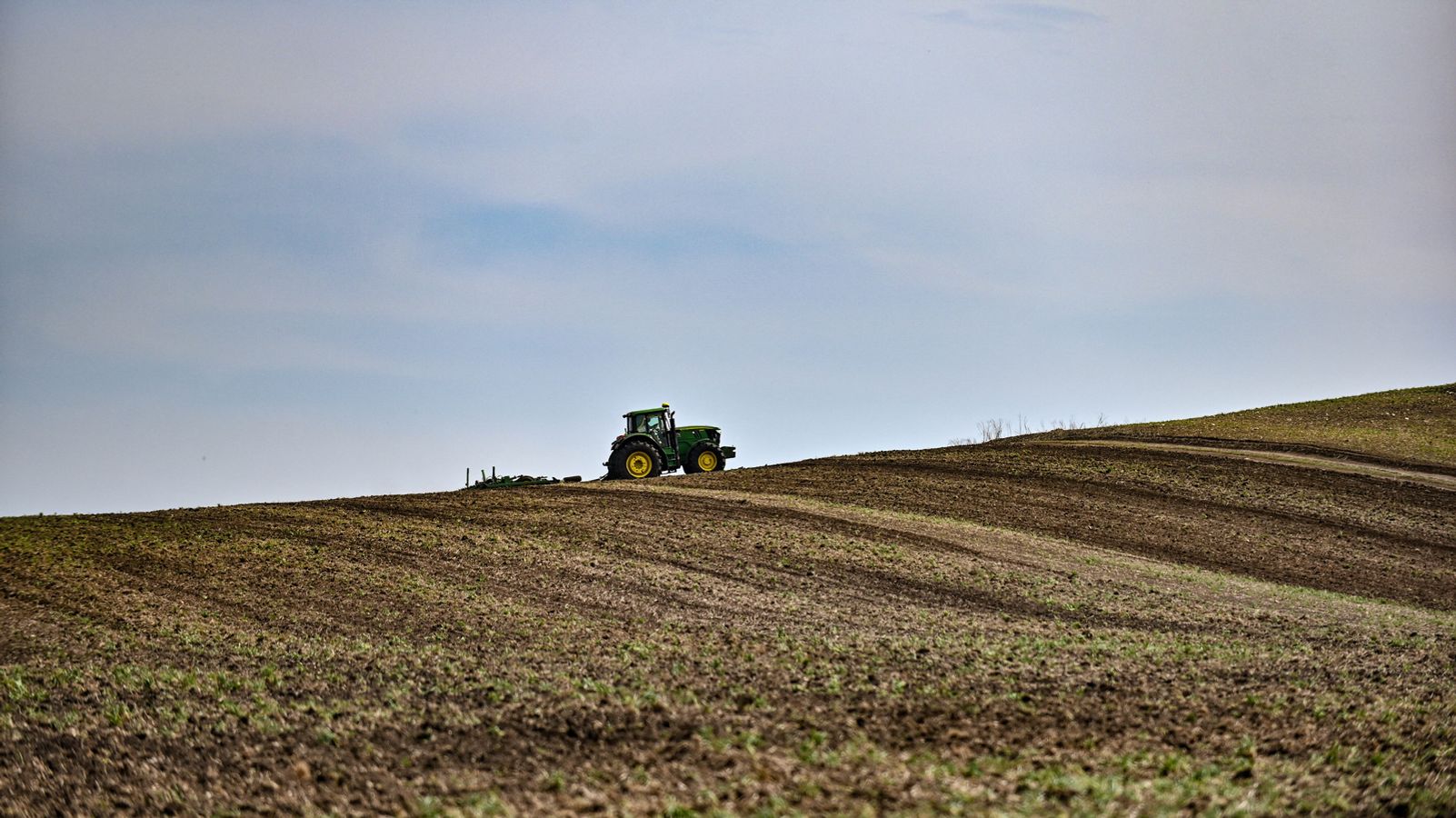 Indeks Ukraina: Ukraina memperkirakan penurunan tajam dalam panen gandum
