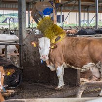 Bioflaute: Warum stellen nicht mehr Bauern um? | Bild: picture-alliance/Fotostand/K. Schmitt
