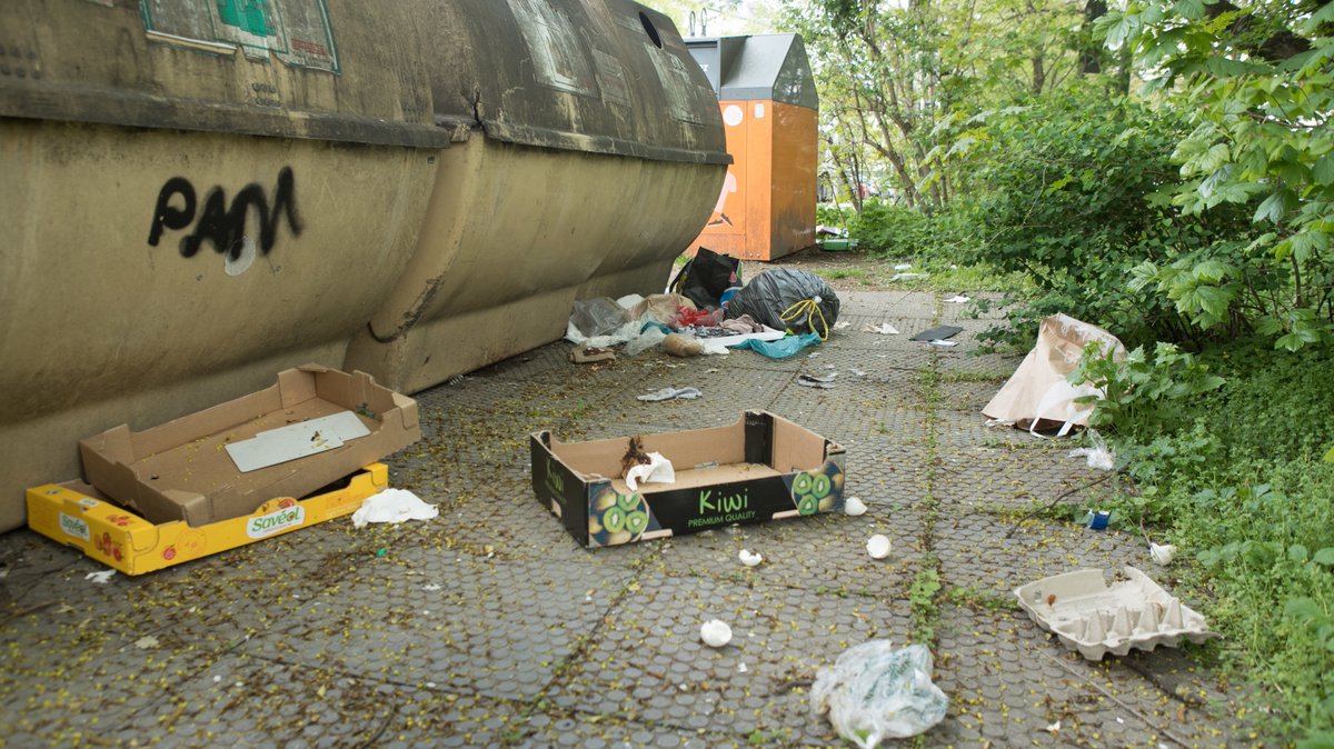 Detektive und Kameras: Bayerns Kommunen kämpfen gegen Müllberge