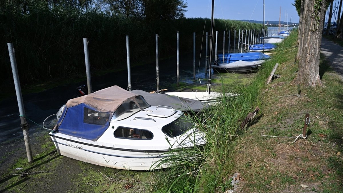Mehrere Boote liegen im Hafen von Moos in Baden-Württemberg auf dem Trockenen, weil der Bodensee Niedrigwasser hat.
