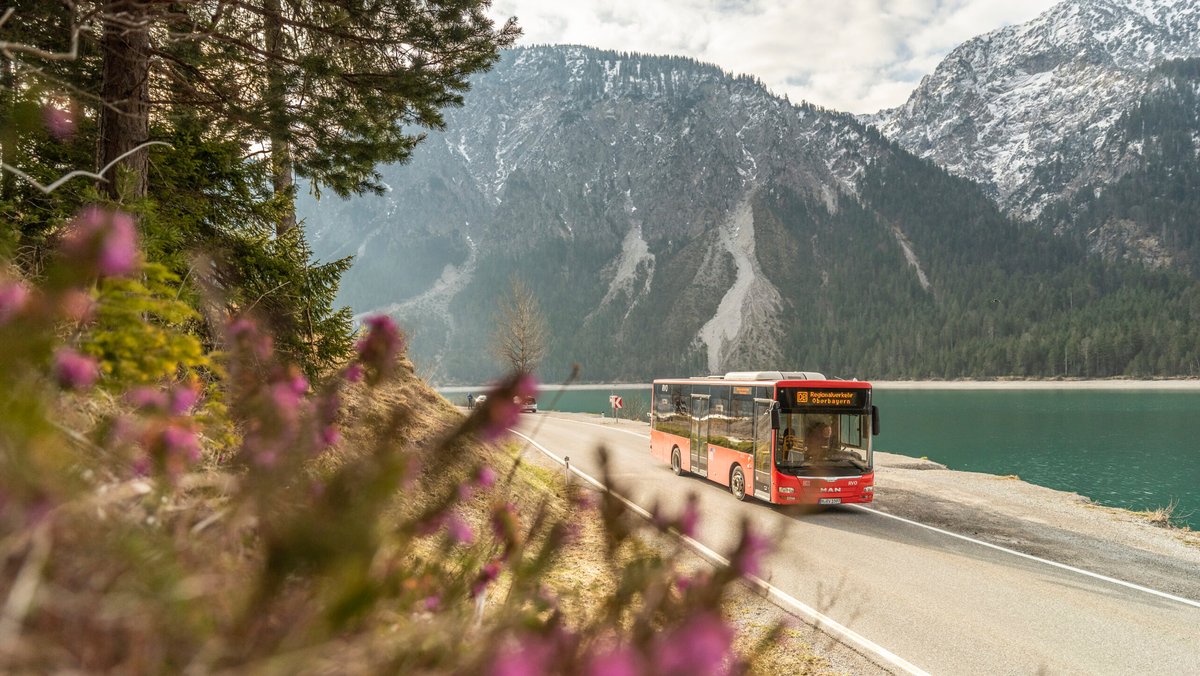 Ein Bus der neue Buslinie fährt von Oberau nach Reutte in Tirol, im Hintergrund ist der Plansee zu sehen. 