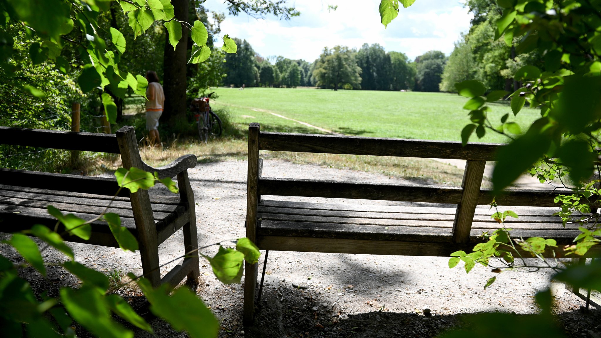 Stelle mit zwei Parkbänken auf einem Hügel am winzigen Oberstförsterbach im Englischen Garten Nord in München.