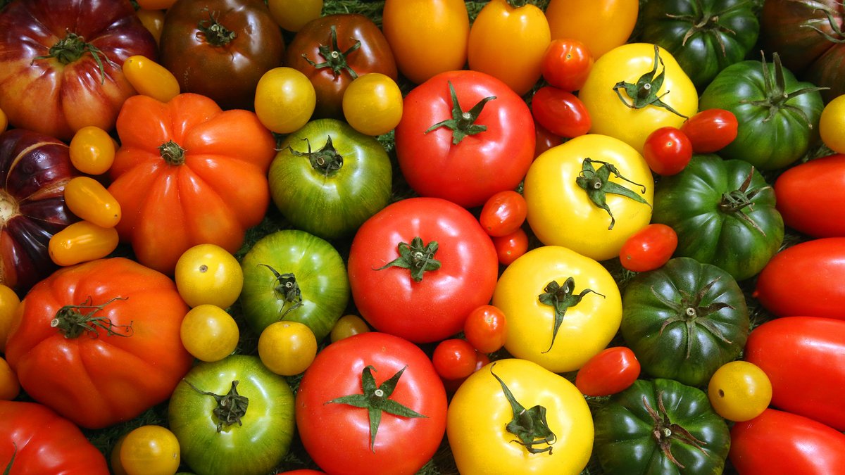Tomaten und Gemüse in verschiedenen Farben. DLR und NASA starten einen neuen Testlauf in der Antarktis.