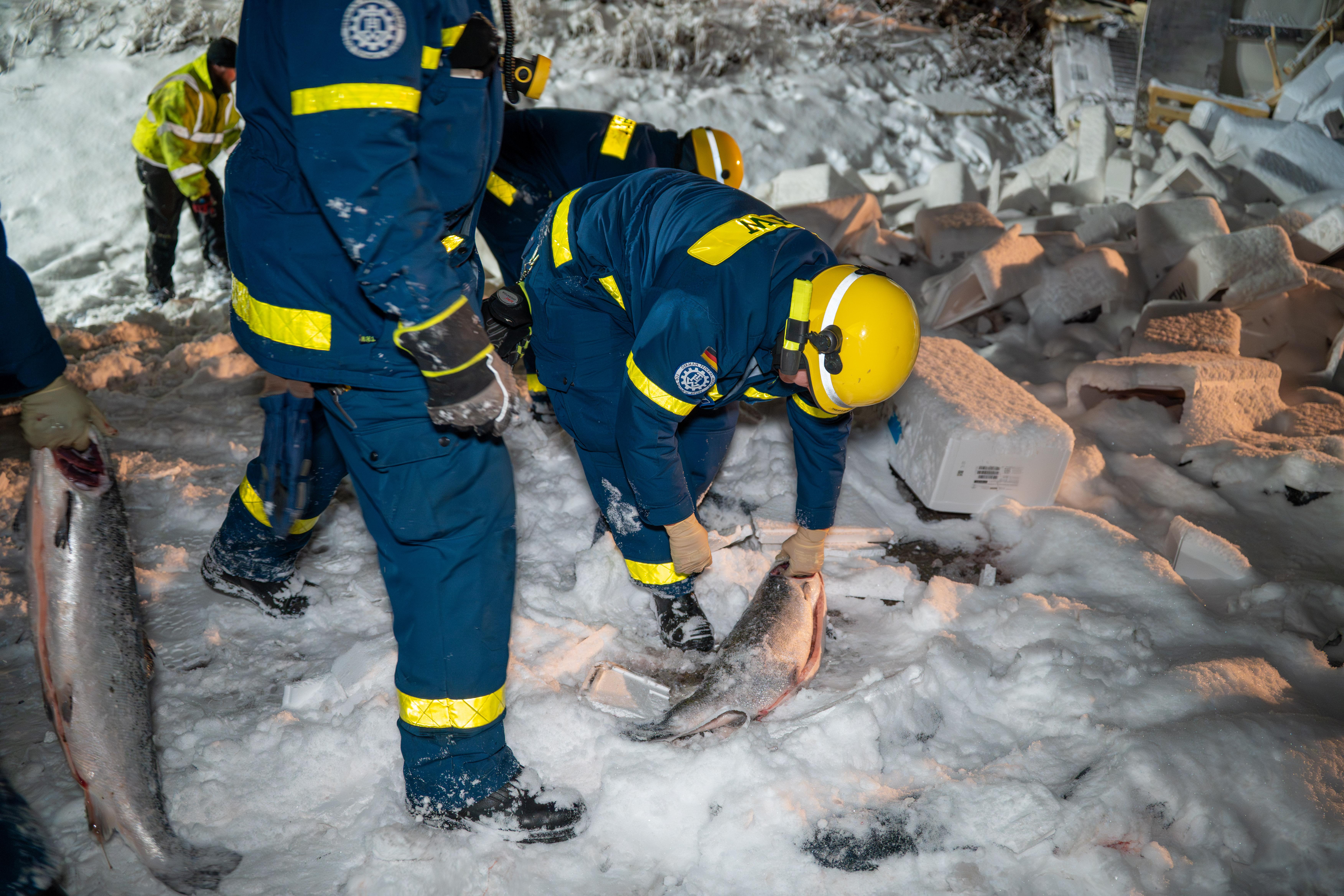 Die Bergungsteams hatten alle Hände voll zu tun, die Fische, die der verunglückte Laster geladen hatte, wieder einzusammeln