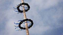 Symbolbild: Maibaum wird traditionell aufgestellt | Bild:dpa-Bildfunk/Karl-Josef Hildenbrand